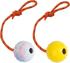 2 Pack Dog Ball, K9 Ball on Rope for Reward, Fetch, Play (6cm)