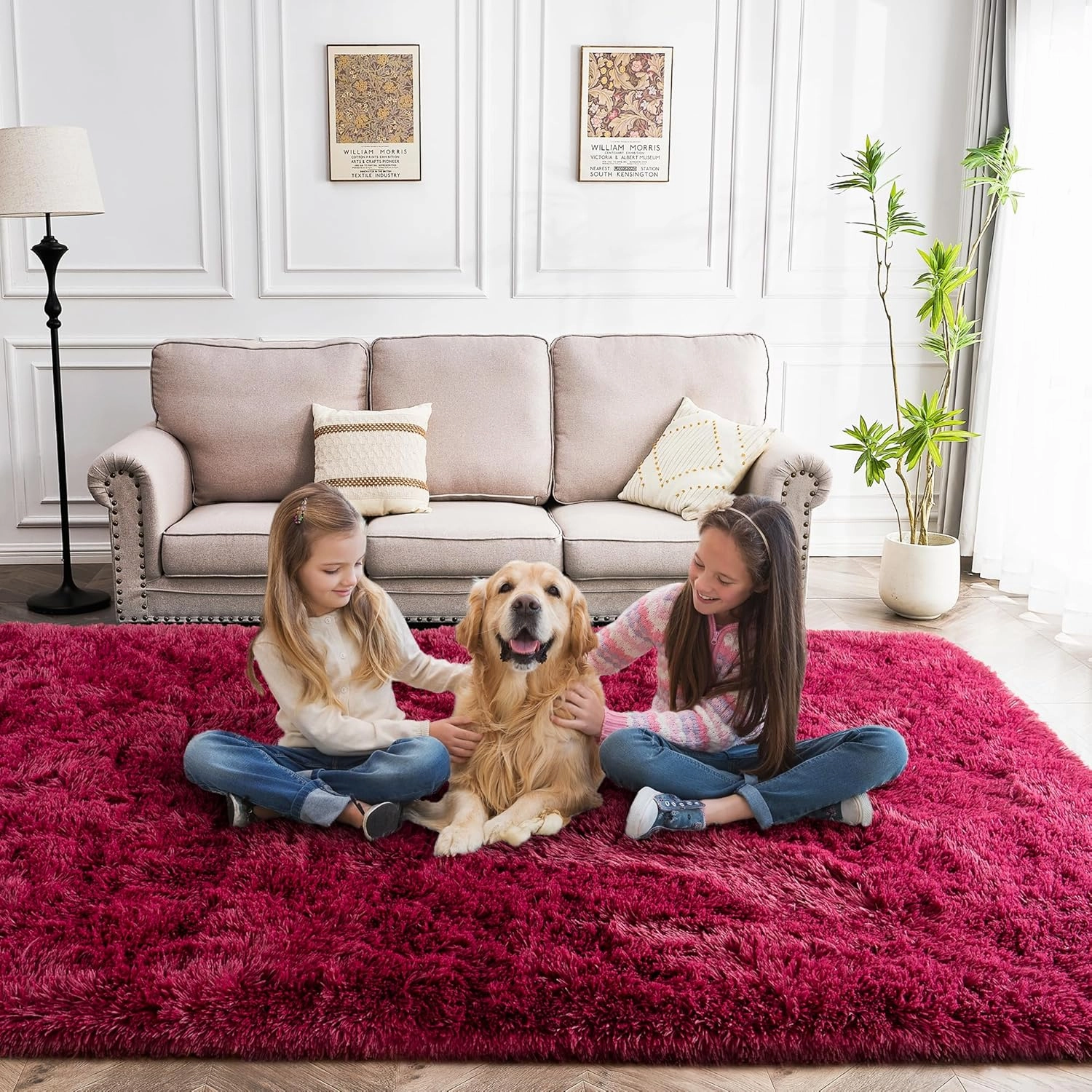4x6 Rug - Non-Slip Rugs for Living Room - Height Pile 1.4" Plush Rug - Fluffy Throw Carpet for Bedroom - Burgundy