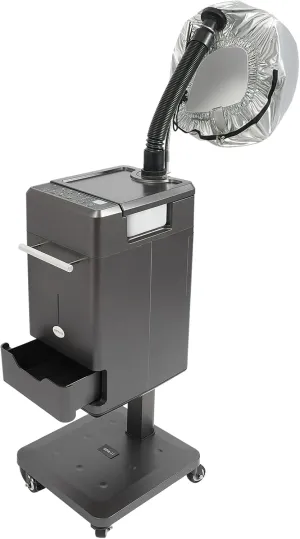 500W Multifunctional Anion Hair Dyeing Machine,110V Nano Hair Steamer/Hair Oil Machine Stand Up Base Equipment Vertical Nano Steamer Salon Spa (500W, Gray)