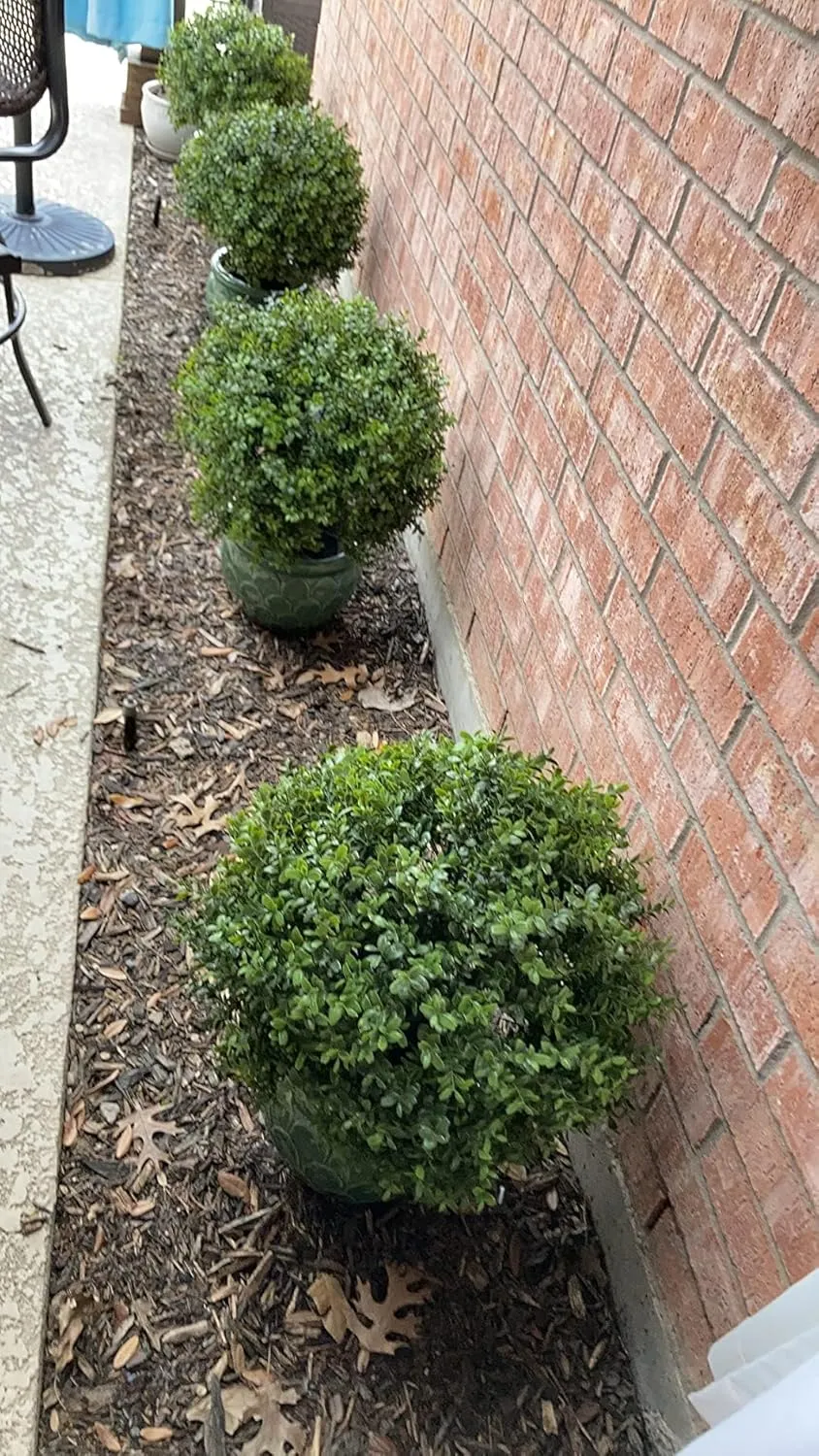 ALL SEASON GREEN 24''T Boxwood Ball Shaped Topiary Home & Garden Potted Artificial Shrubs Tree (1 PC)