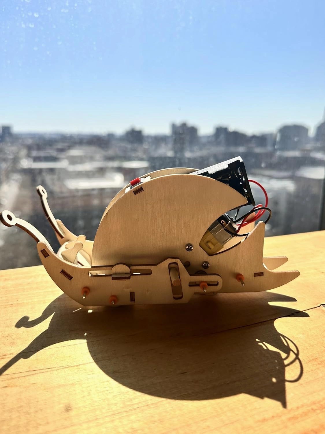Amazing Fun STEM Learning Engineering DIY Build a Robot Snail Toy with Motor, 3D Wooden Puzzles for Adults, Boys Woodworking kit, Model Crafts for Kids. Great Birthday, Gifts Hobby.