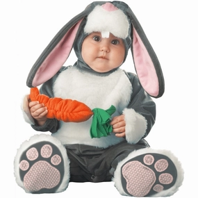 Baby Rabbit  Costume 18-24 Month