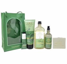 Bath & Body Works Aromatherapy Eucalyptus Spearmint: Stress Relief Gift Bag Set - Body Cream, Body Wash, Essential Oil Mist and Hand Cream - with a Natural Oats Bar Soap