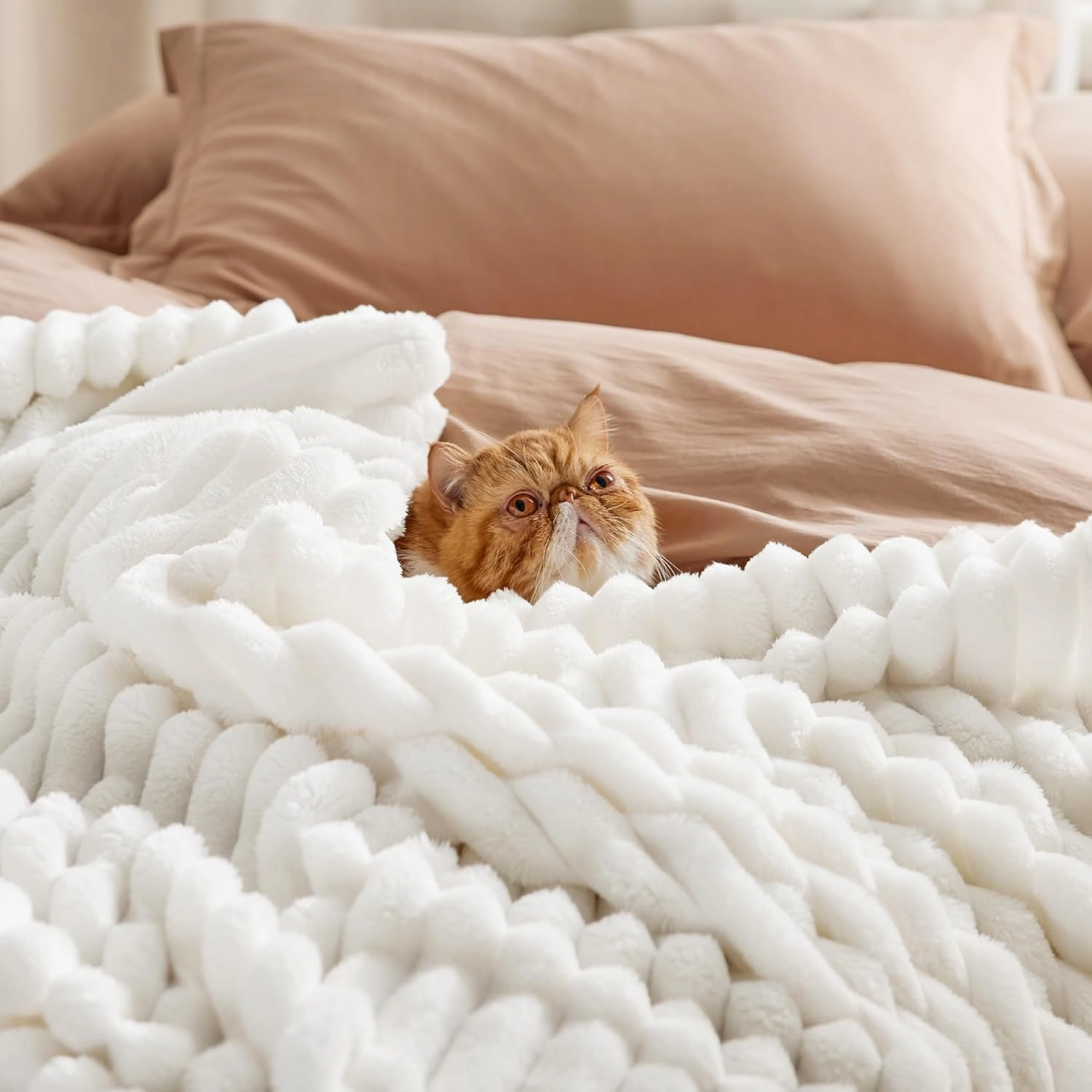 Bedsure Blankets Queen Size for Bed - GentleSoft Cozy Soft Blankets for Women, Cute Large Bedding Fleece Throws for Girls, Off White, 90x90 Inches