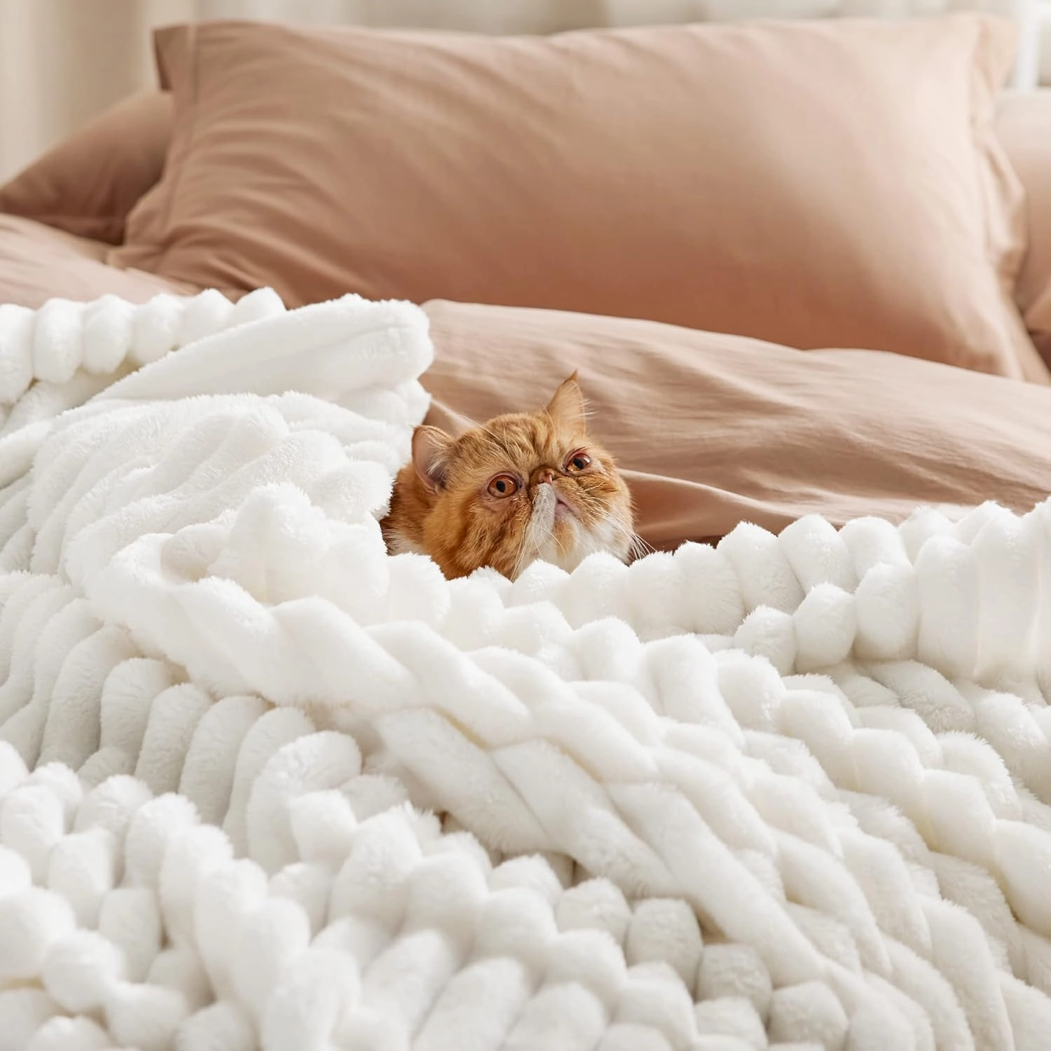 Bedsure White Throw Blanket for Couch - GentleSoft Cozy Soft Blankets for Women, Cute Small Fleece Throws for Girls, Birthday Gifts for Women Mom, Fathers Day Decor Gifts, Off White, 50x60 Inches