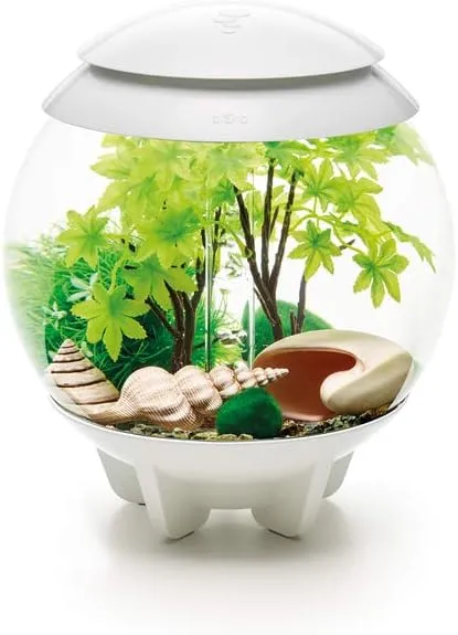 biOrb Decor Set 15L Summer, Multi, Small