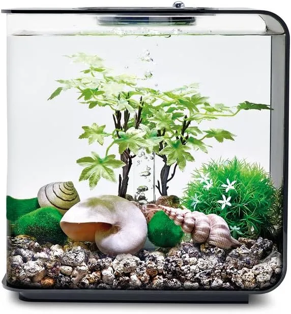 biOrb Decor Set 15L Summer, Multi, Small
