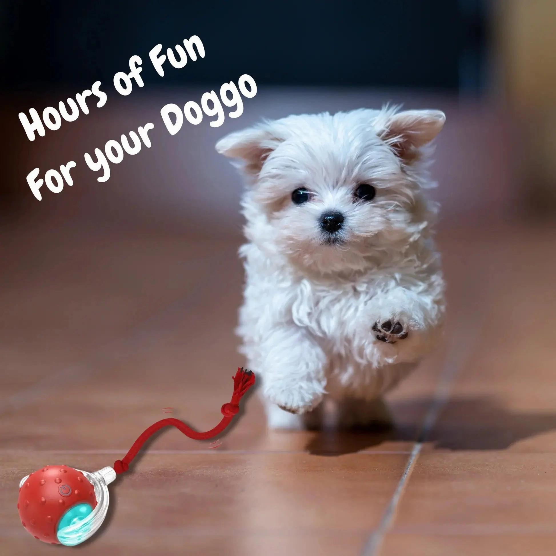 ChewLoon™ For Active Dogs And Cats