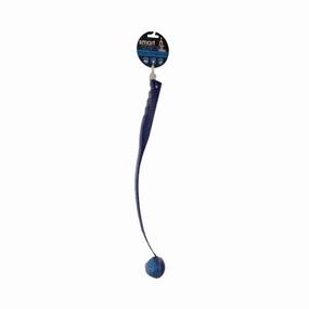 Chucker With Squeaky & Flashing Ball Dog Toy