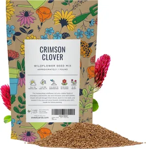 Crimson Clover Seeds for Planting – Bulk 1 Pound Bag – Over 80,000 Open Pollinated Non-GMO Seeds – Trifolium incarnatum