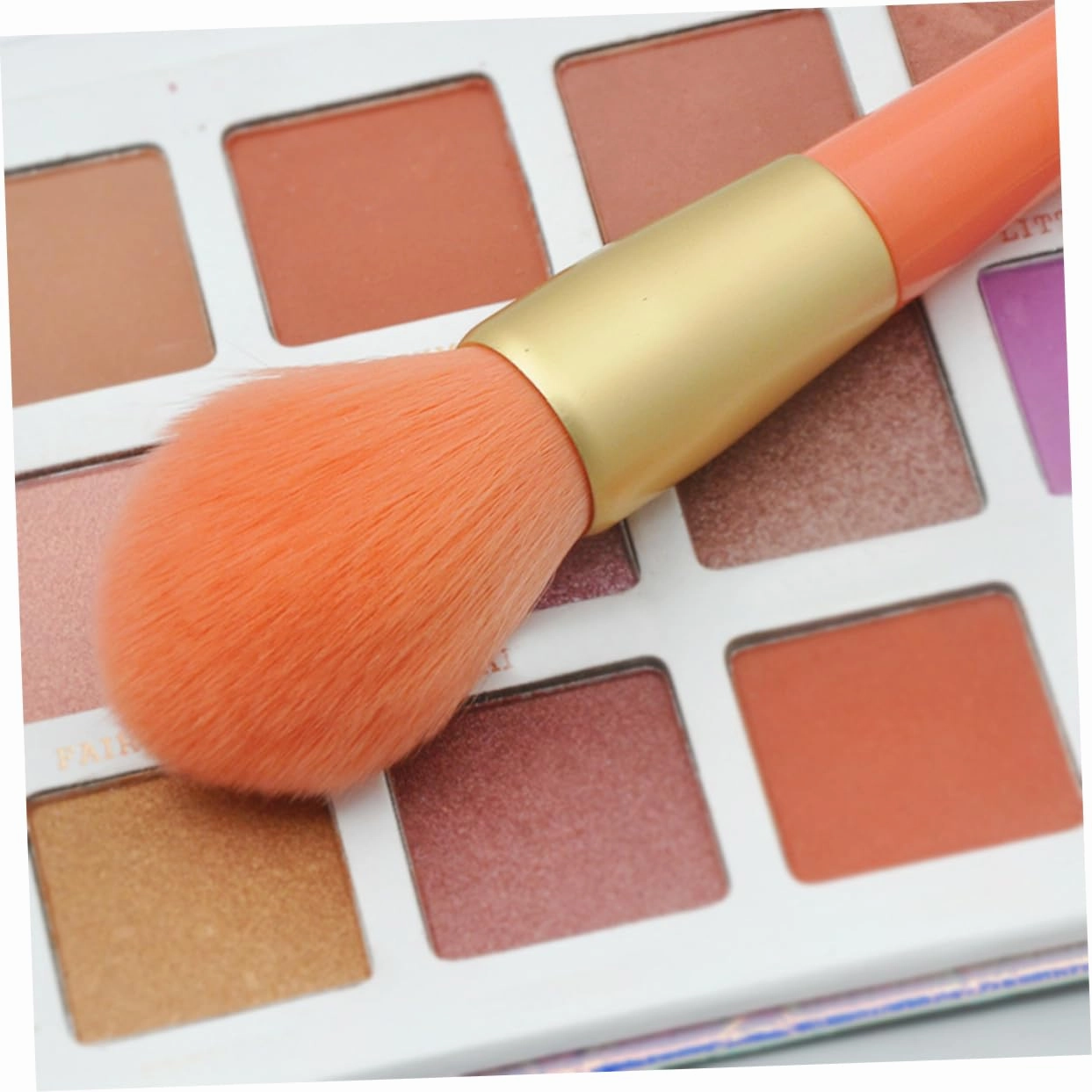 DOITOOL 15 Pcs 1 Makeup Brush Set Holder 12-piece Kit Portable Foundation Blush Liquid Powder Professional Reusable for Travel for