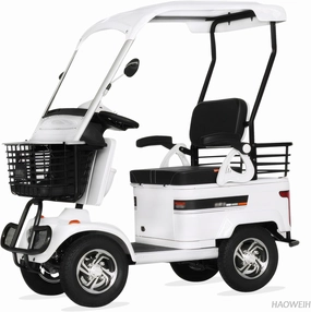 Electric Golf Carts for Adults with 650W Motor, Convenient Storage Box, Powered Mobility Scooters for Adults, Ideal for Golf Course, Outdoor Leisure and Senior Living