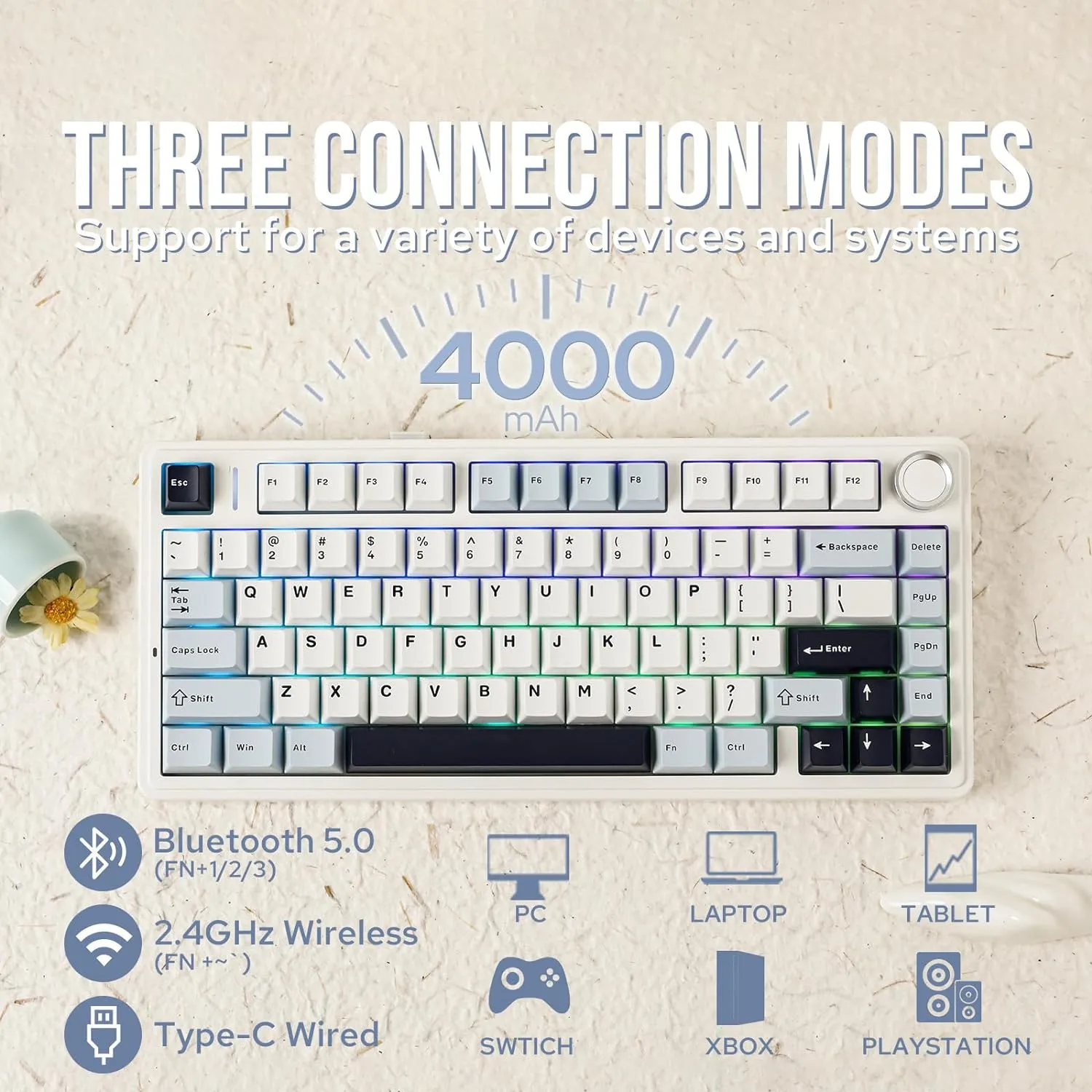 EPOMAKER x Aula F75 Gasket Mechanical Keyboard, 75% Wireless Hot Swappable Gaming Keyboard with Five-Layer Padding&Knob, Bluetooth/2.4GHz/USB-C, RGB (Light Blue, LEOBOG Reaper Switch)