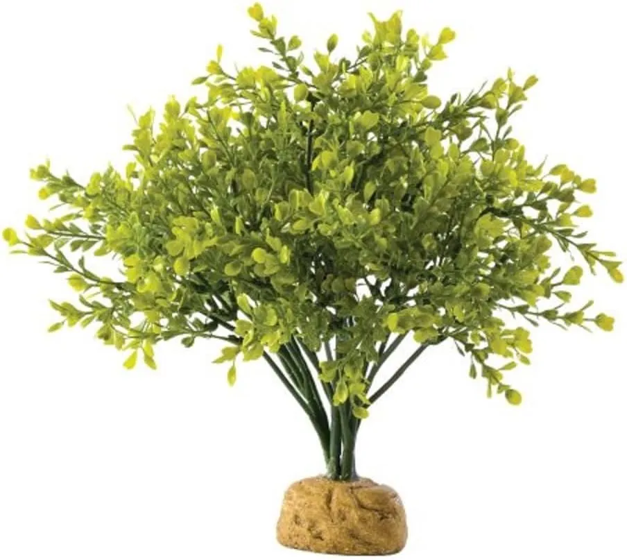 Exo Terra Boxwood Bush Terrarium Plant