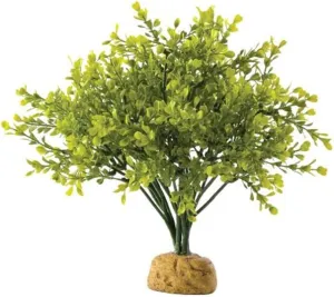 Exo Terra Boxwood Bush Terrarium Plant