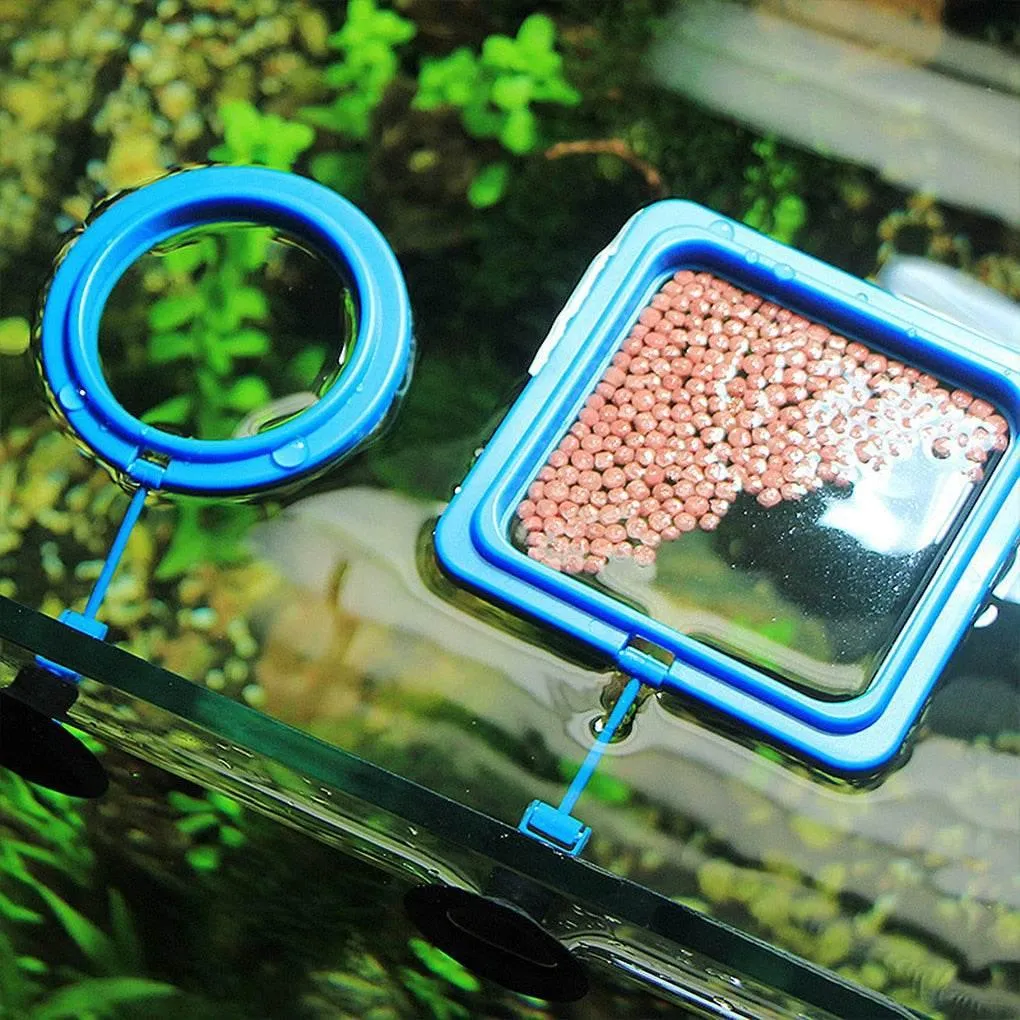Floating Fish Feeder Tray - Creative Aquarium Accessory
