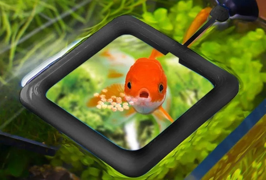 Floating Fish Feeder Tray - Creative Aquarium Accessory