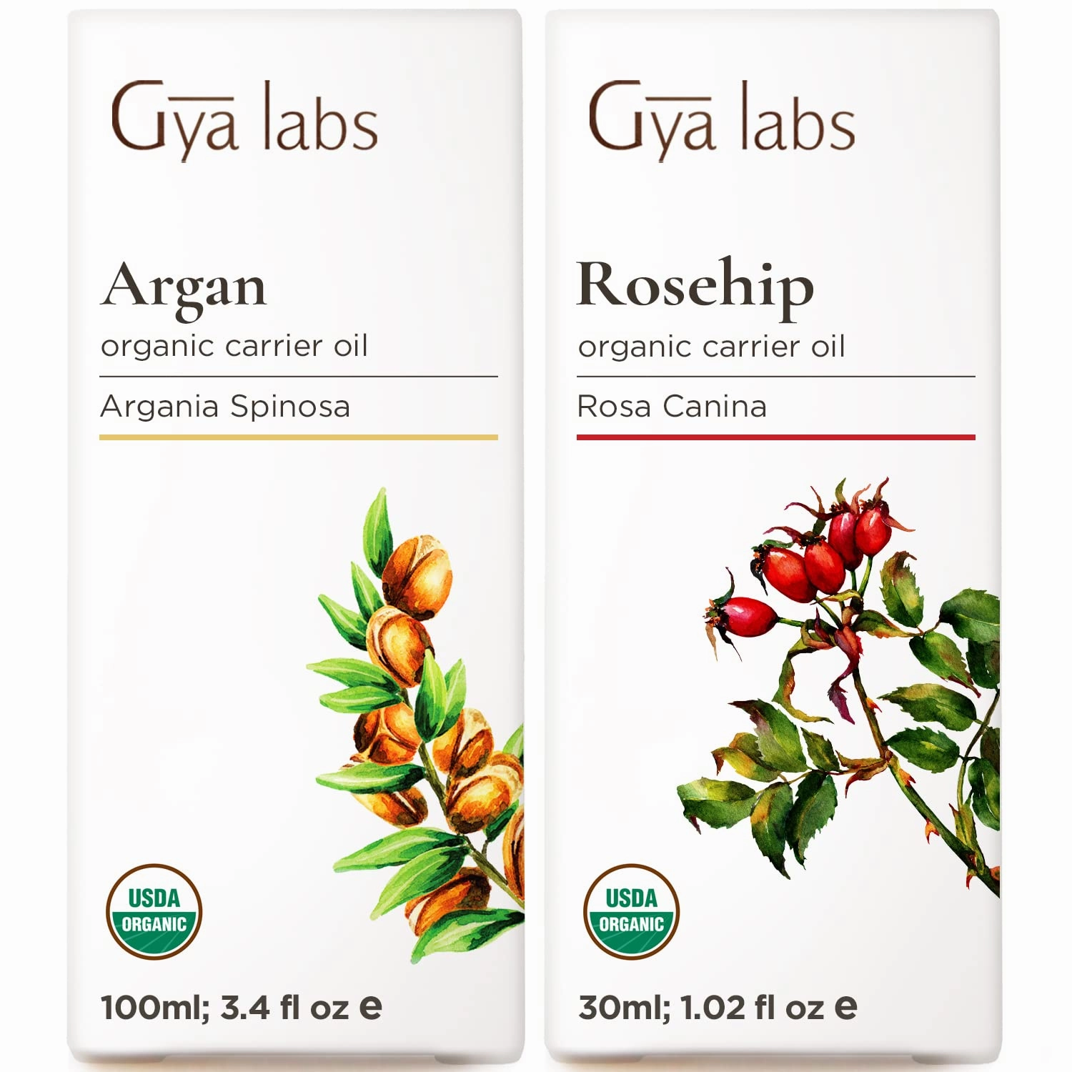 Gya Labs Argan Oil for Hair (3.4 fl oz) & Rosehip Oil for Face (1 fl oz) Set - 100% Natural Aromatherapy Grade Essential Oils Set