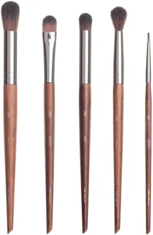 JSEIAJB 5 Pieces of Eye Shadow Brush Set Nose Shadow Brush Highlight Brush Beauty Tools Eyeliner Brush Makeup Brush