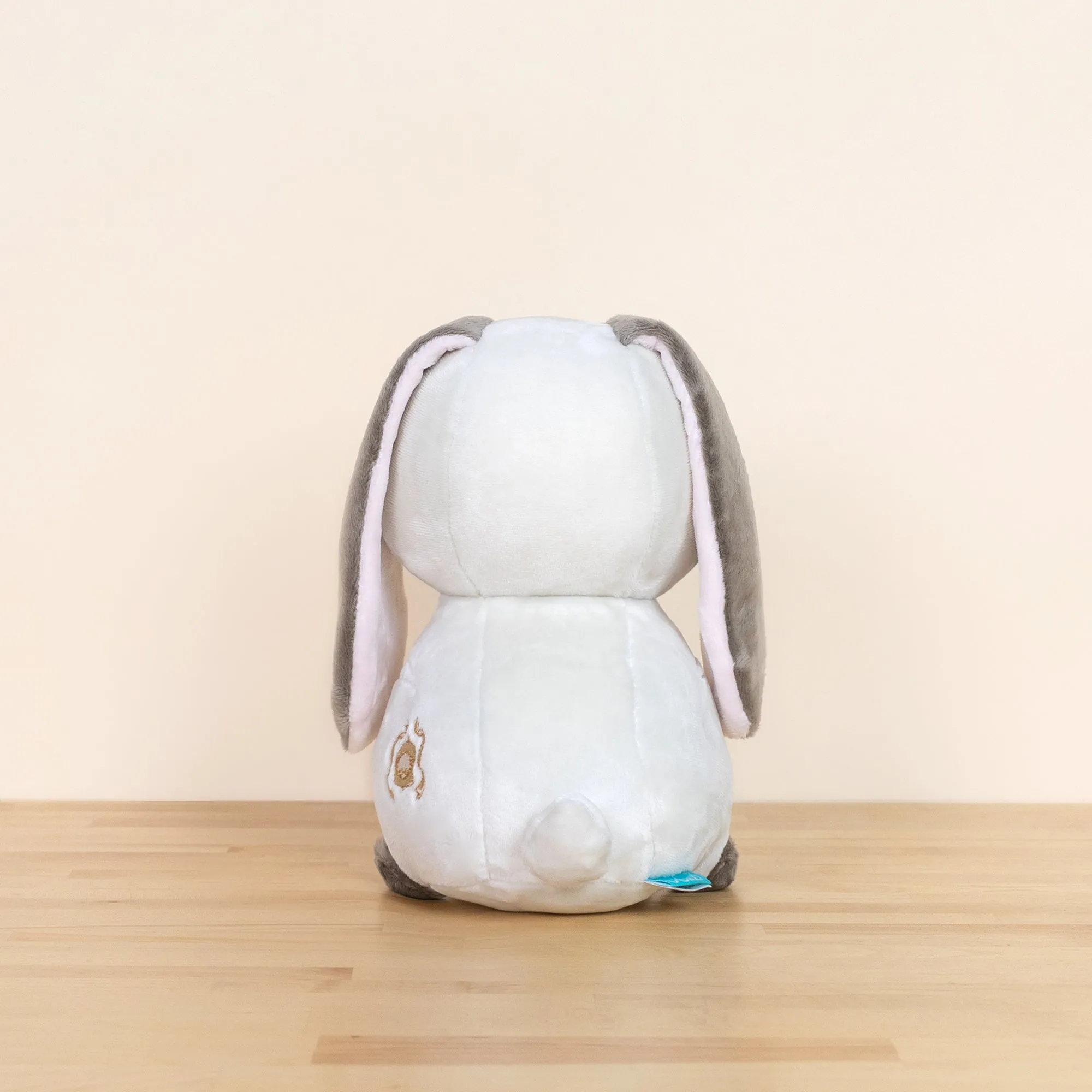 Lop Bunni the Lop Eared Rabbit