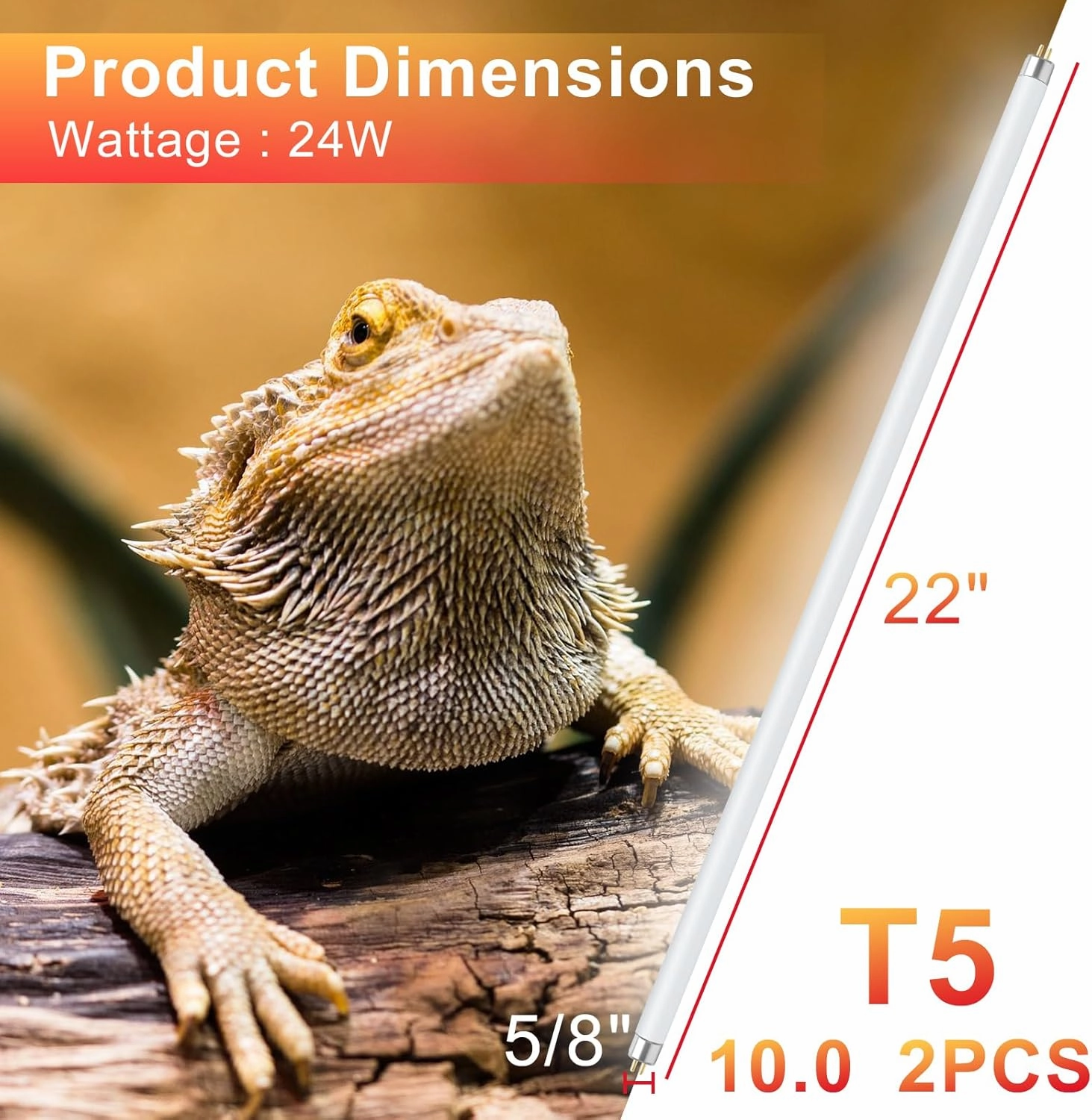 LUCKY HERP 2 Pack T5 UVB 10.0 Reptile Light 24W, UVA UVB Fluorescent Lamp Tube, UVB Lighting Bulb for Turtles, Chameleon, Tortoises, Lizard