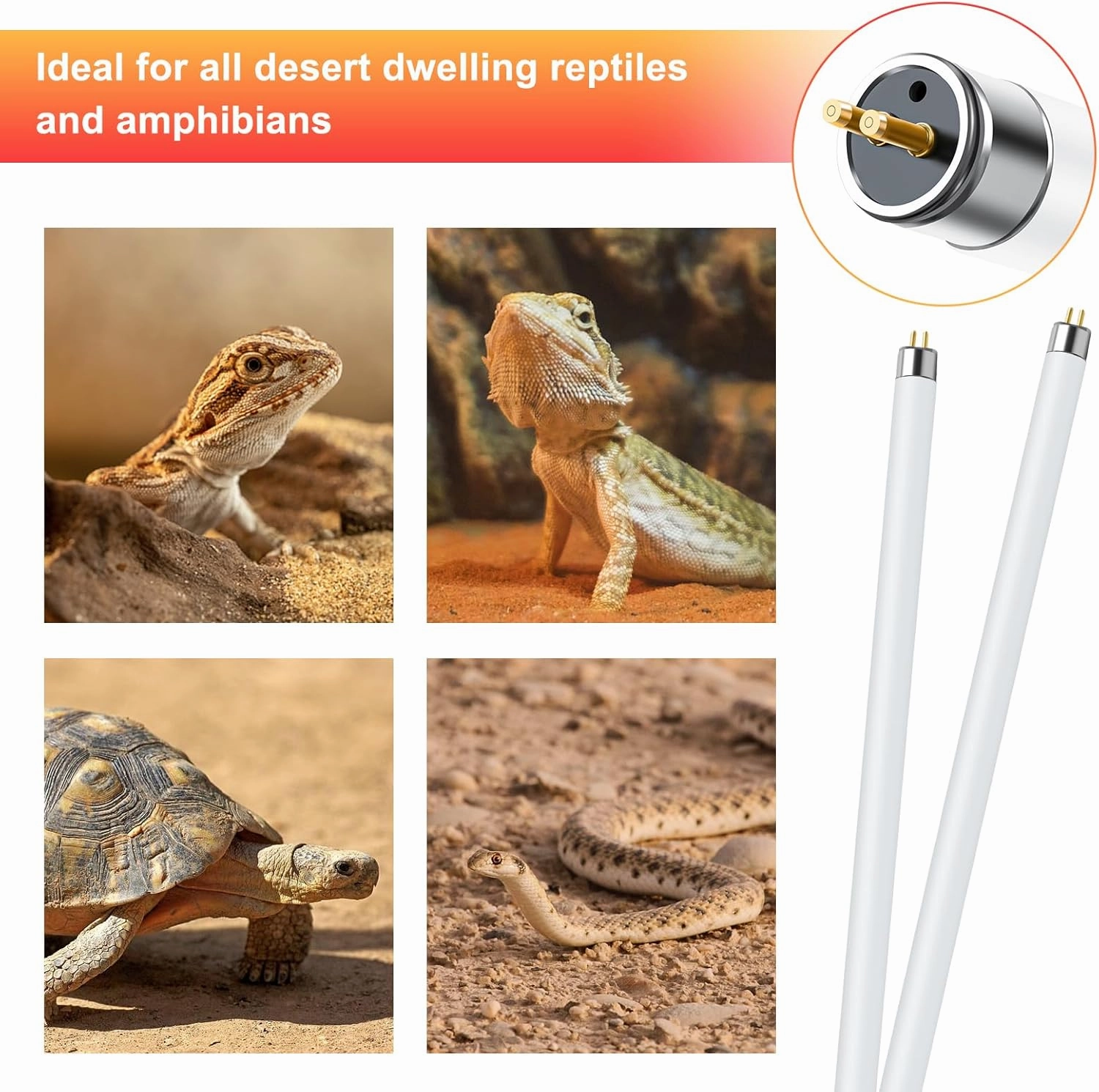 LUCKY HERP 2 Pack T5 UVB 10.0 Reptile Light 24W, UVA UVB Fluorescent Lamp Tube, UVB Lighting Bulb for Turtles, Chameleon, Tortoises, Lizard