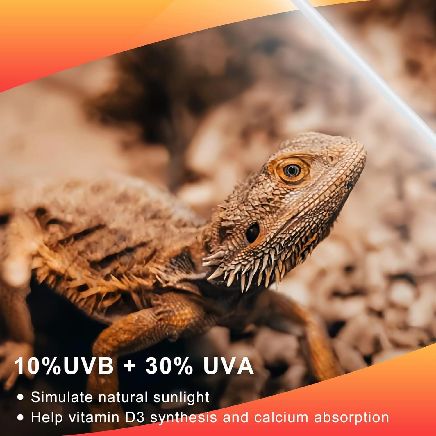 LUCKY HERP 2 Pack T5 UVB 10.0 Reptile Light 24W, UVA UVB Fluorescent Lamp Tube, UVB Lighting Bulb for Turtles, Chameleon, Tortoises, Lizard