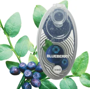 Mint-Infused Ice Menthol Air Freshener Beads - Long-Lasting Natural Fragrance for Home, Masks & Car | DIY any, High Altitude Training & Indoor Air Filter Systems&Pearls for Gym(blueberry)