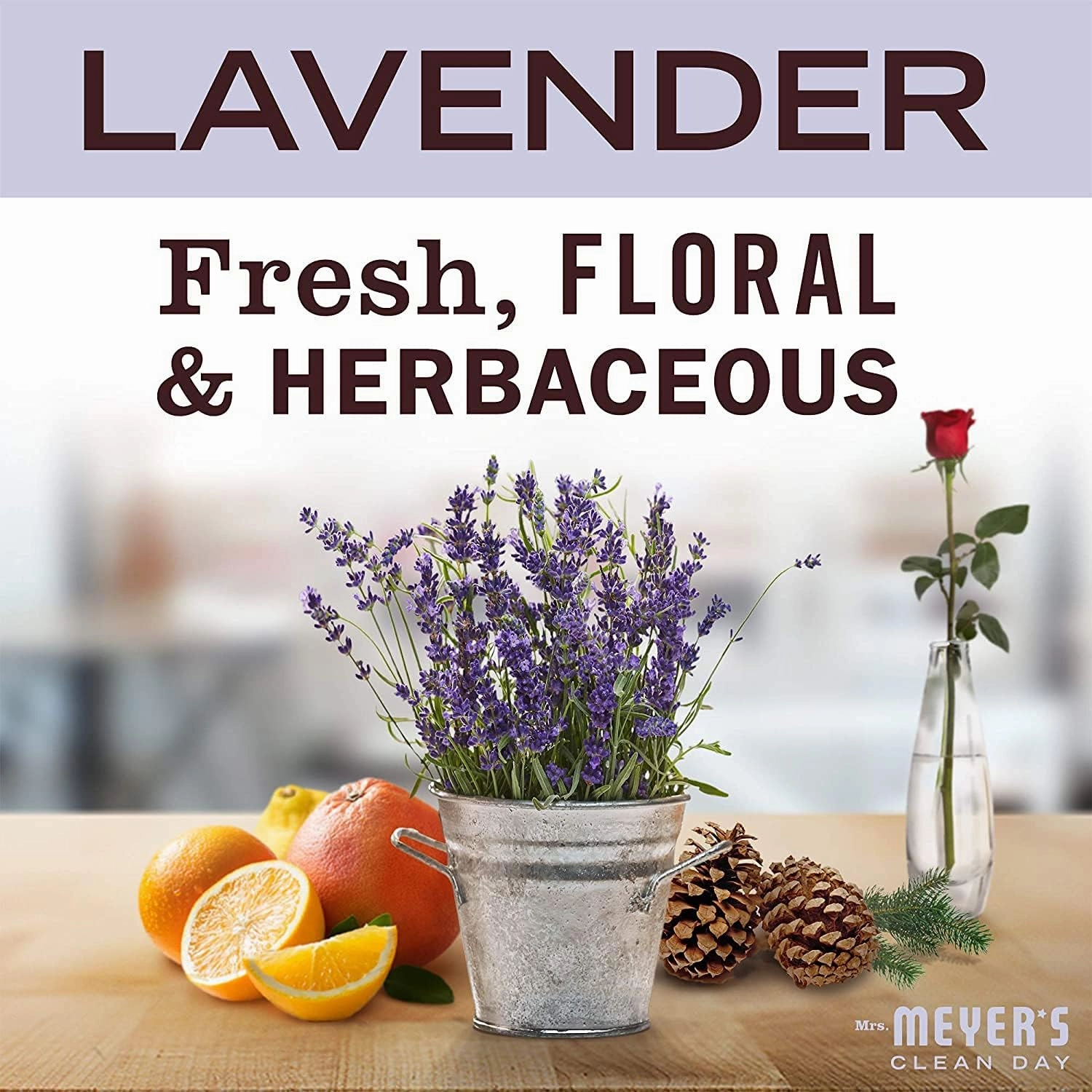 Mrs. Meyer's Clean Day Liquid Fabric Softener Bottle, Lavender Scent, 32 Fl oz (Pack of 2)