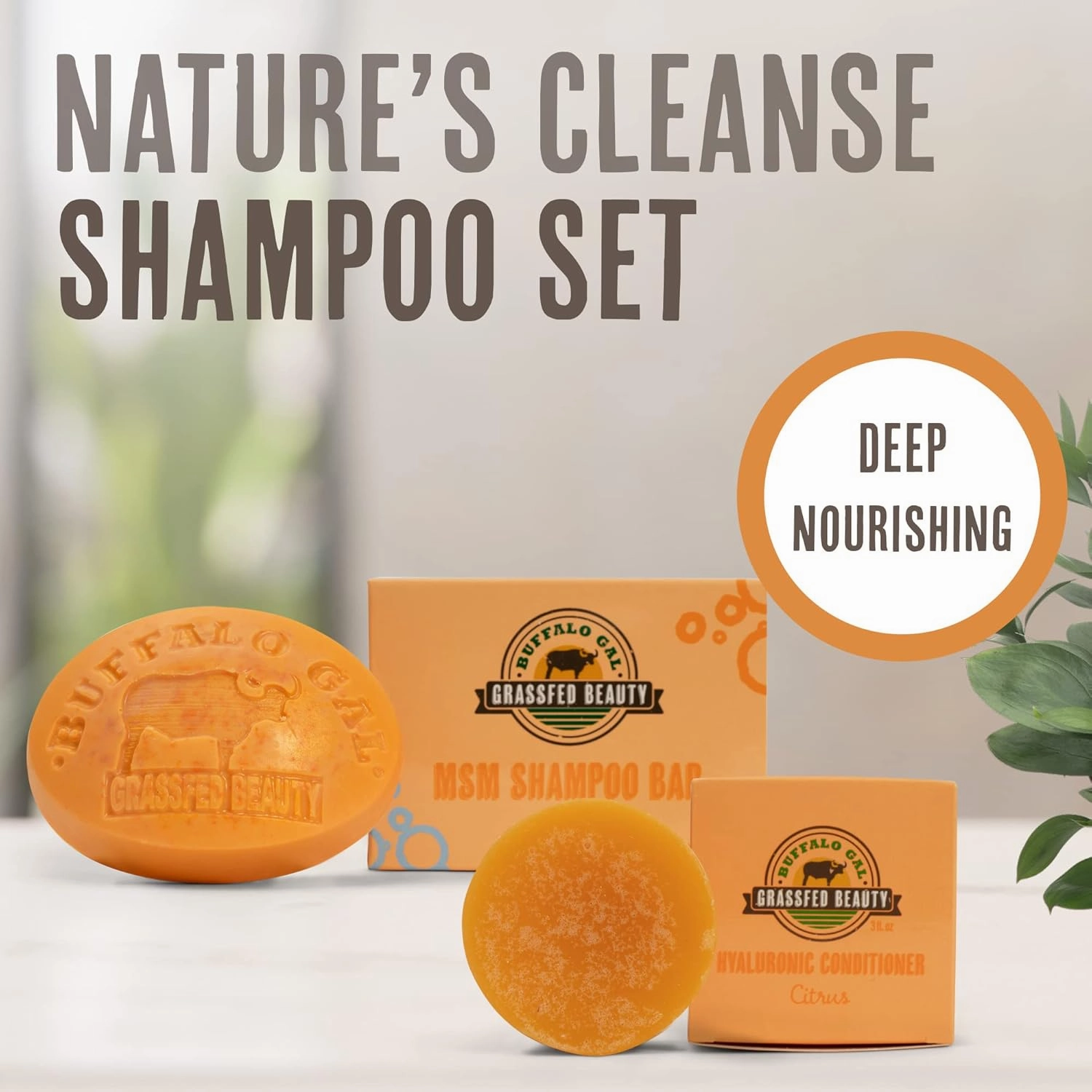 MSM Shampoo Bar   Hyaluronic Hair Conditioner Bar, Solid Bar Shampoo and Conditioner for Hair Growth, Non-Soap, For All Hair Types, Citrus, Set of 2