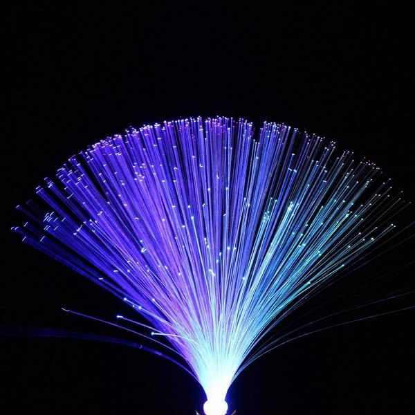 Multicolor LED Fiber Optic Light Lamp