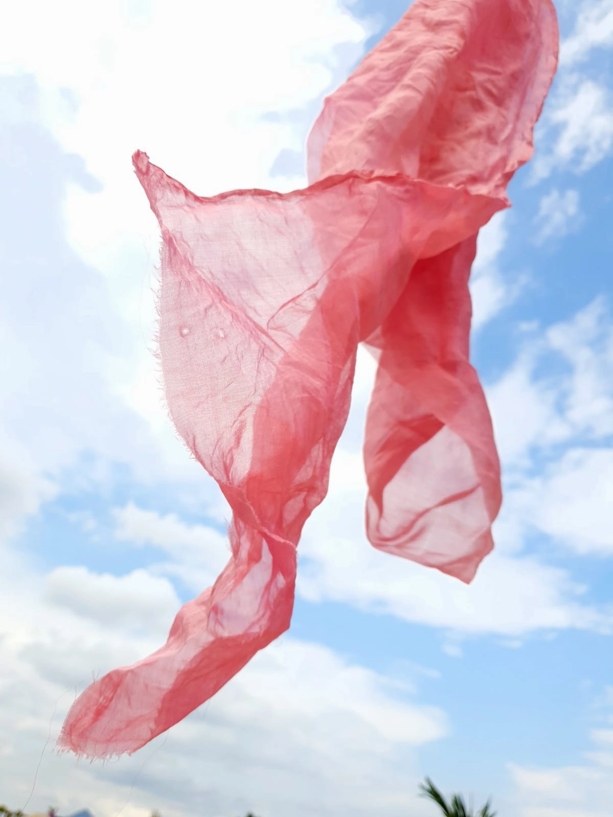 Natural Dyeing Workshop Online