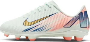 Nike Jr. Vapor 16 Club Mercurial Dream Speed Big Kids' MG Low-Top Soccer Cleats (FZ1614-300, Barely Green/Crimson Pulse/Metallic Gold Coin)