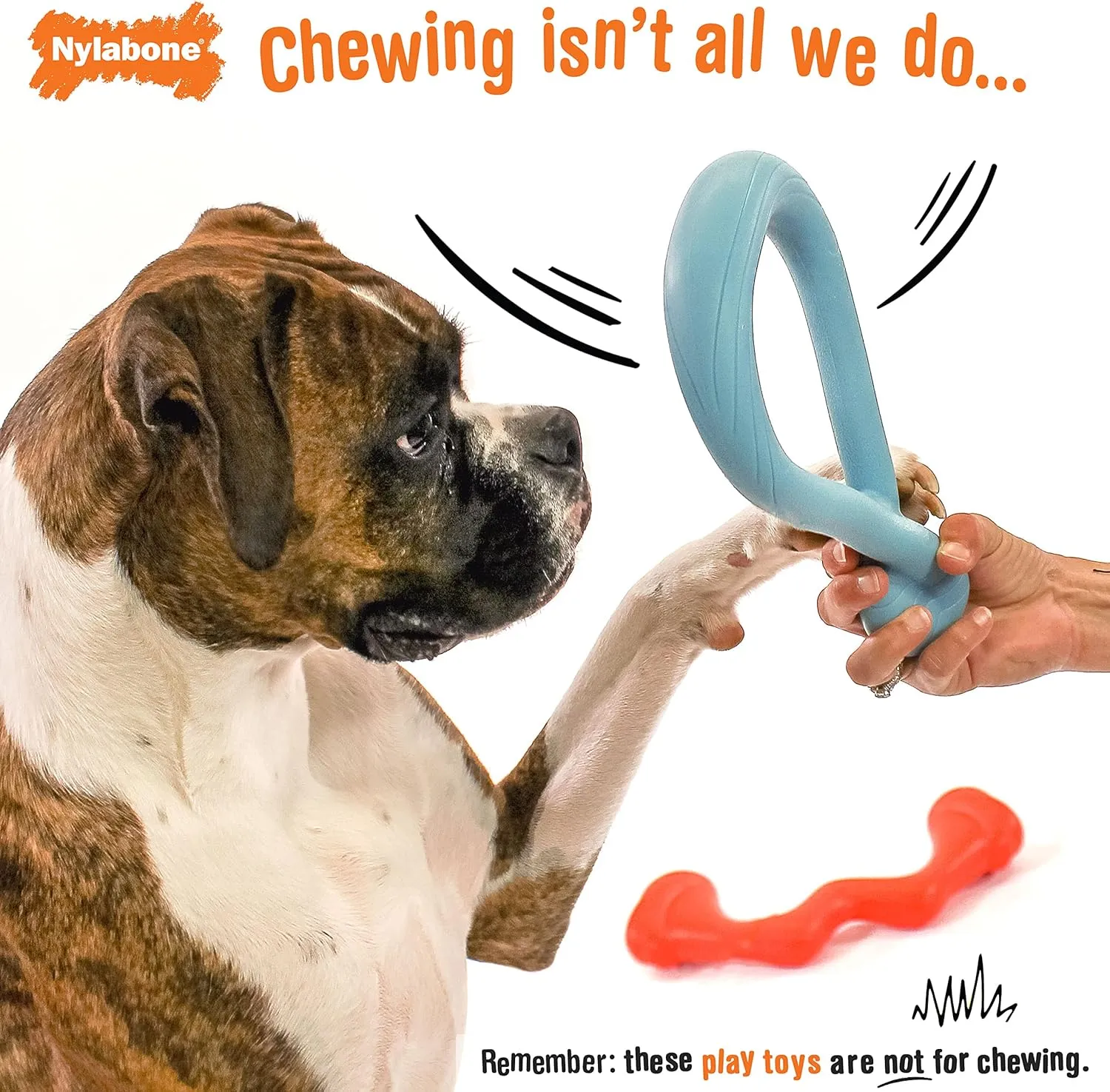 Nylabone Springa and Tuug Interactive Dog Toys Bundle for Dog Enrichment – Lightweight Intriguing Dog Tug Toys for Creative Play & Dog Exercise Springa & Tuug, Multi-Color, (ND1098)