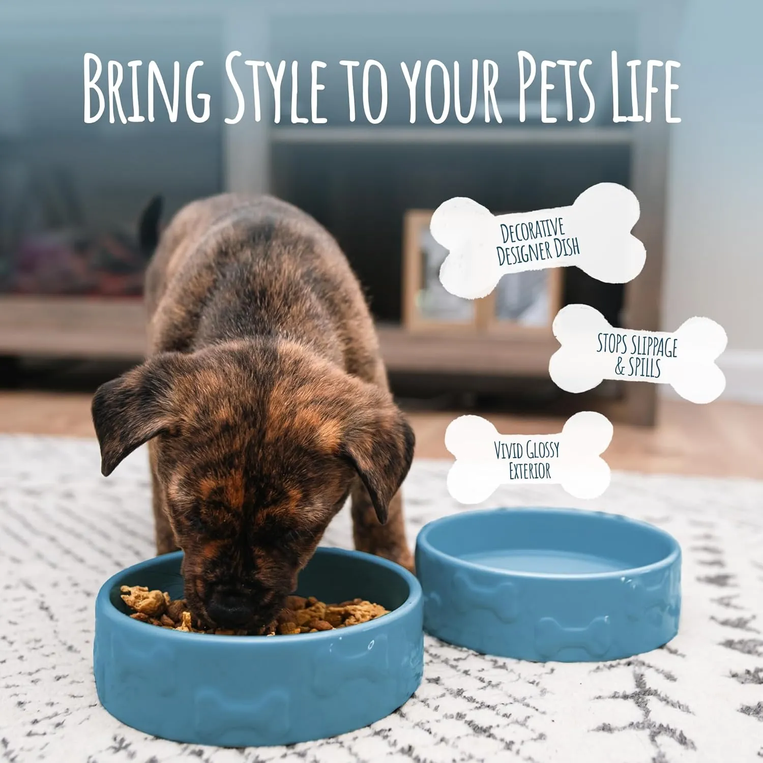 Park Life Designs Pet Bowl | Manor (Large, Azure)