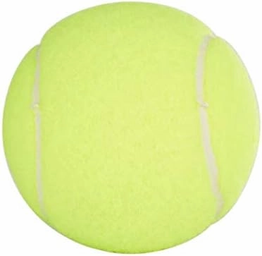 Penn Championship Tennis Balls - Regular Duty Felt Pressurized Tennis Balls