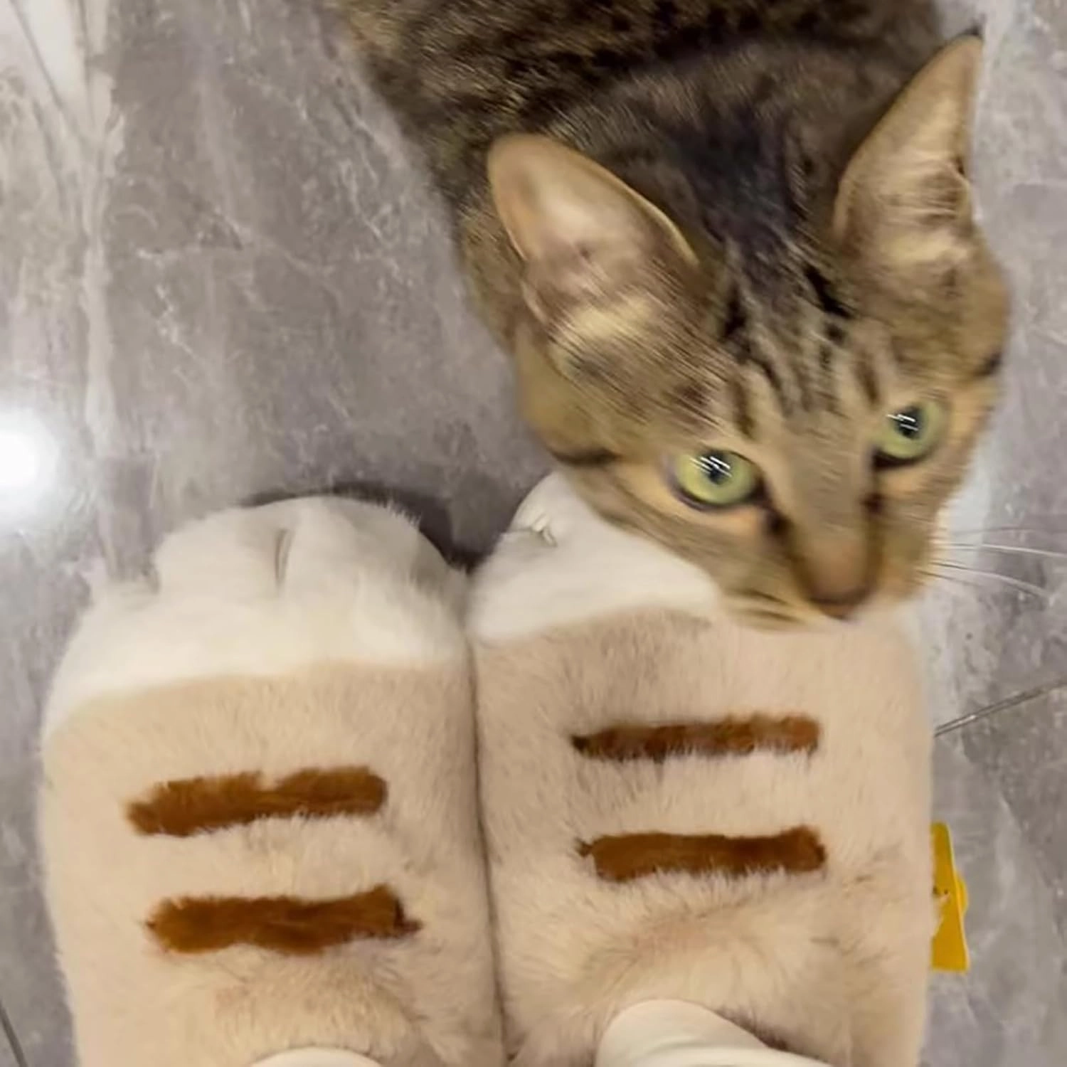 Plush cat paw slippers，non-slip soles, cozy and cute slippers