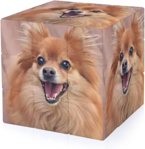 Pomeranian Dog Funny 3x3x3 Cube Smooth Lightweight Puzzle for Adult Graphic Printing Travel