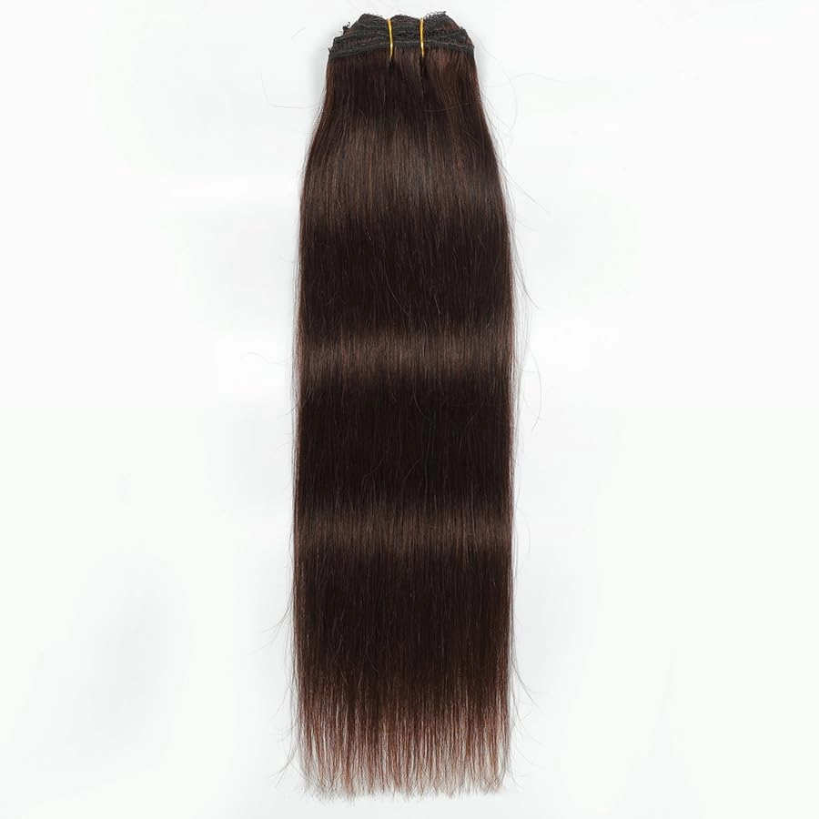 Premium 100% Human Hair Clip-In Extensions - Sleek Straight (8-Piece Set, 120g) (2#, 20 Inches)