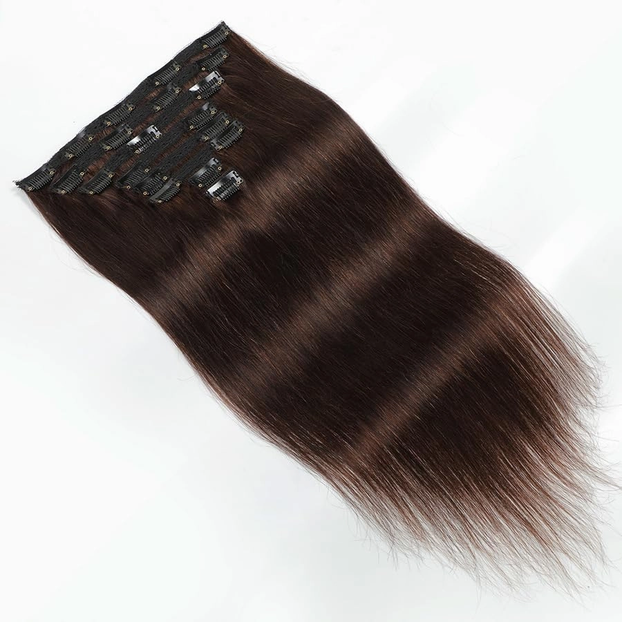 Premium 100% Human Hair Clip-In Extensions - Sleek Straight (8-Piece Set, 120g) (2#, 20 Inches)