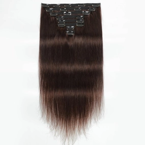 Premium 100% Human Hair Clip-In Extensions - Sleek Straight (8-Piece Set, 120g) (2#, 20 Inches)