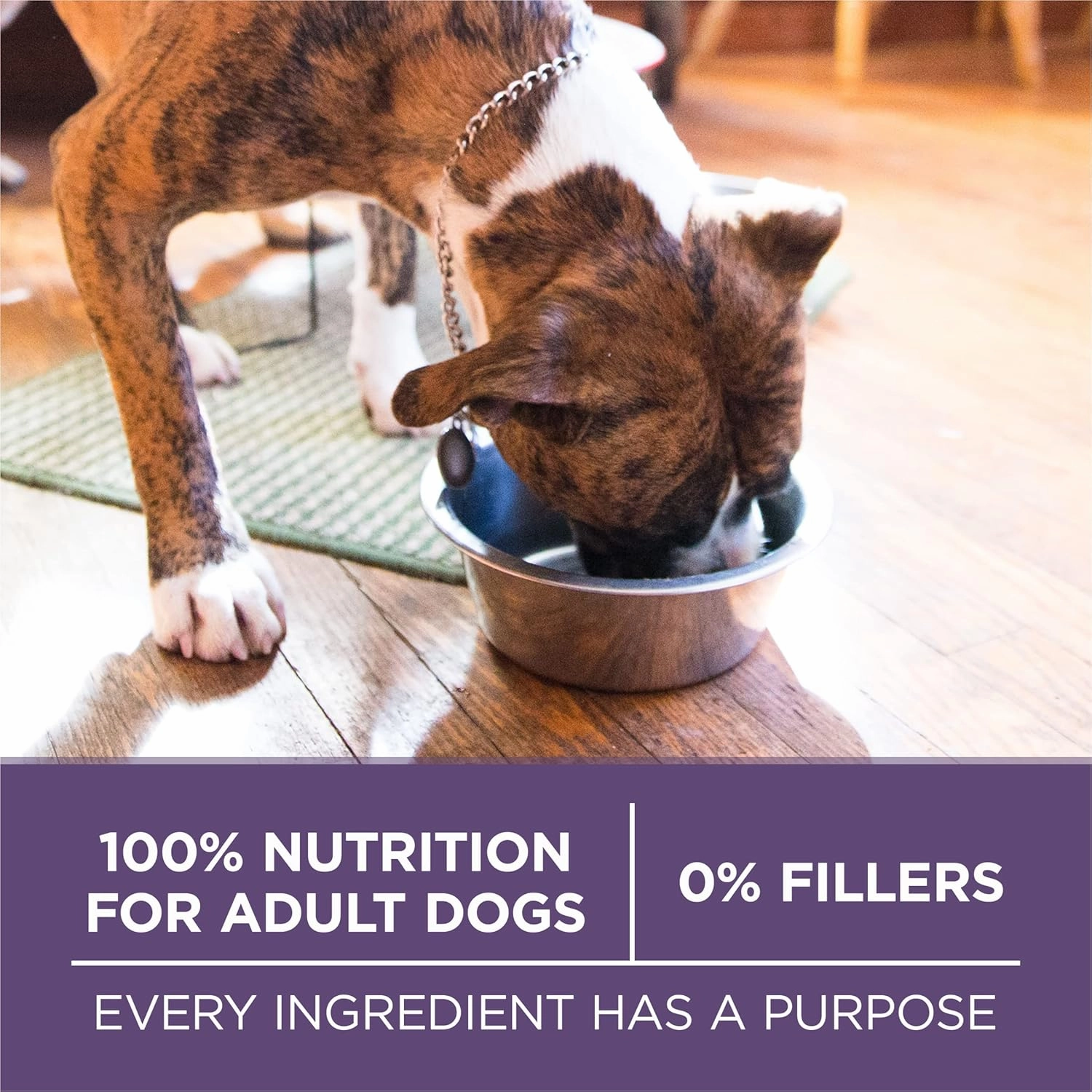 Purina ONE High Protein Dry Senior Dog Food Plus Vibrant Maturity Adult 7 Plus Formula - 16.5 Lb. Bag