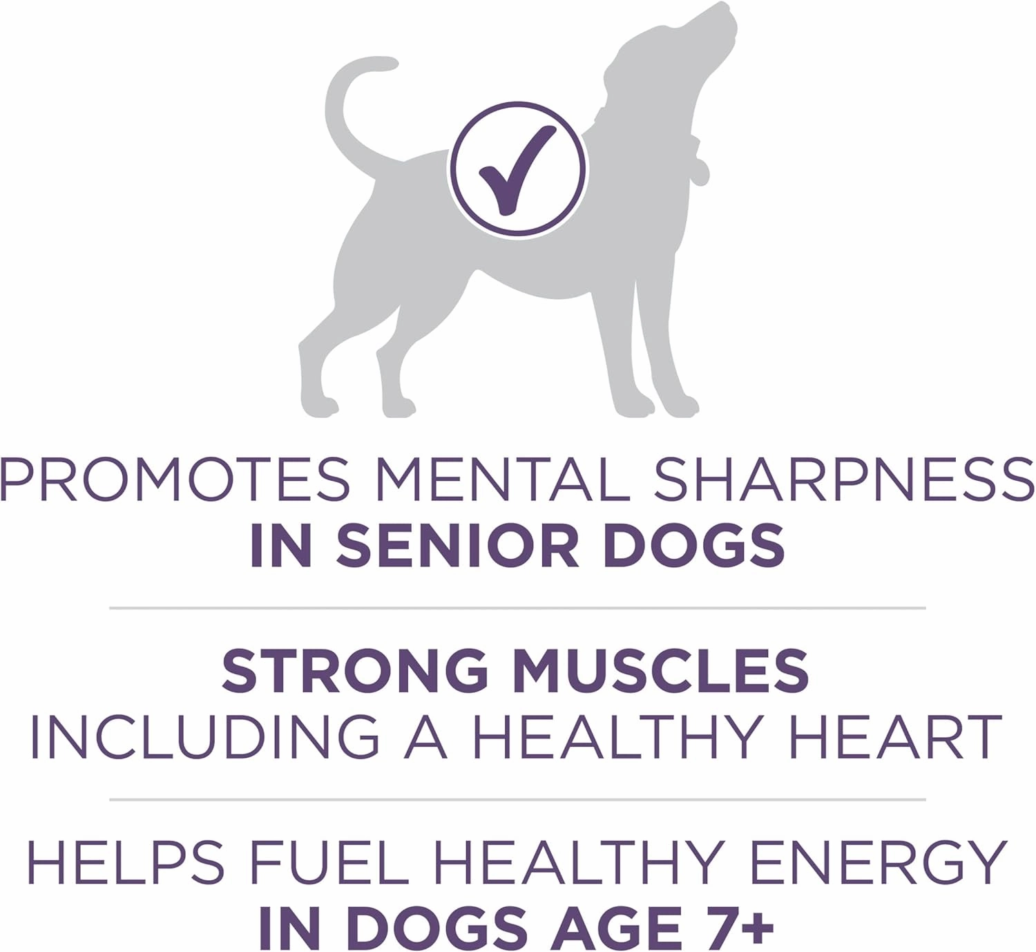 Purina ONE High Protein Dry Senior Dog Food Plus Vibrant Maturity Adult 7 Plus Formula - 31.1 lb. Bag