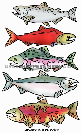 Salmon Collage