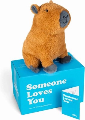 SendAFriend Crouton The Capybara Stuffed Animal Care Package, Someone Loves You Box, Great Gift for Any Reason (Love You Notecard)