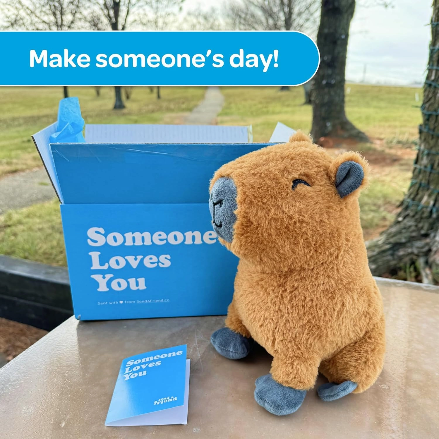 SendAFriend Crouton The Capybara Stuffed Animal Care Package, Someone Loves You Box, Great Gift for Any Reason (Love You Notecard)