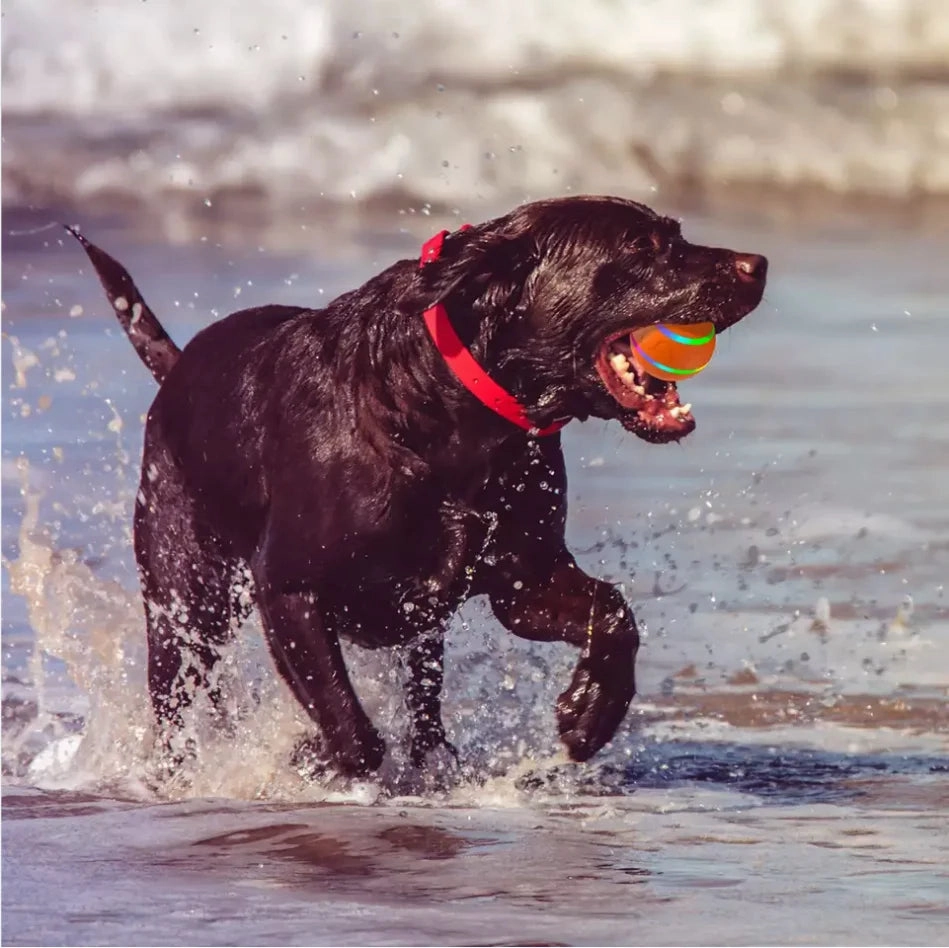 Smart Interactive Dog Ball – Flashing, Rotating, Waterproof Chew Toy
