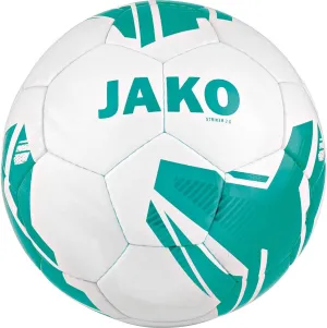 Striker 2.0 Ms
