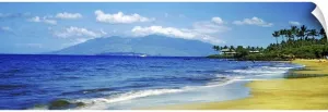 Surf on The Beach, Kapalua Beach, Maui, Wall Decal, Coastal Artwork