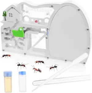 TOYANDONA Scene Ant Observation Kit for Safe Plastic Includes Farm Structures and Tools Sparks Imagination and Play